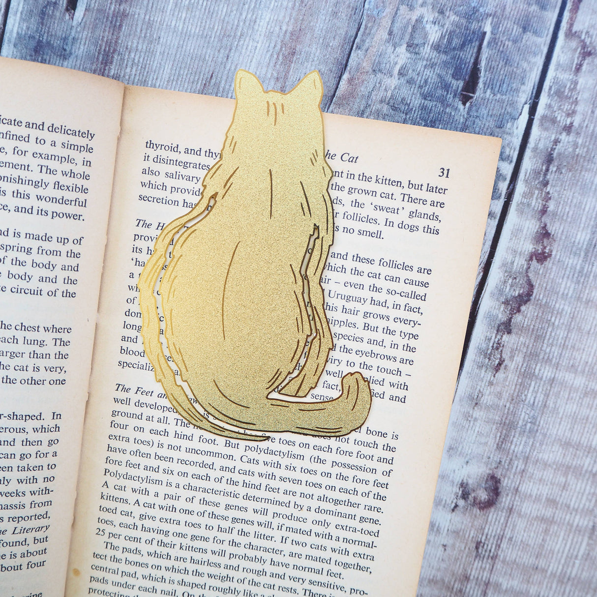 Literary Emporium Cat Lover Brass Bookmark
