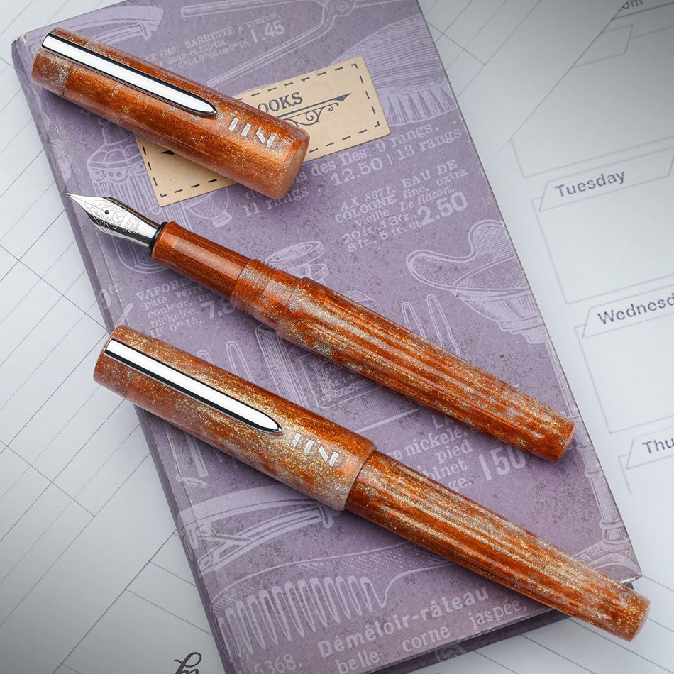 Benu DailyMate Fountain Pen - Relaxing Sunday