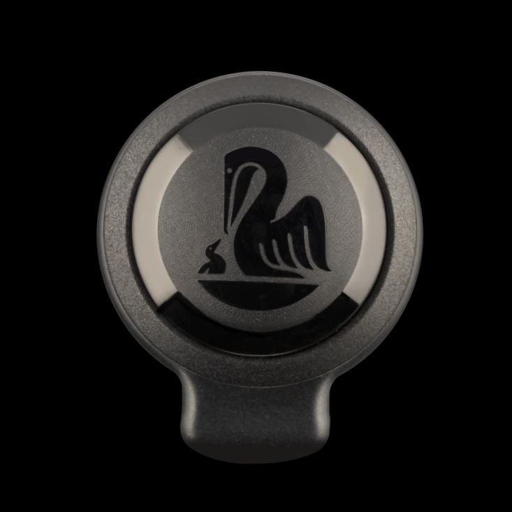 Pelikan Souveran M809 Fountain Pen Special Edition - Black Matte