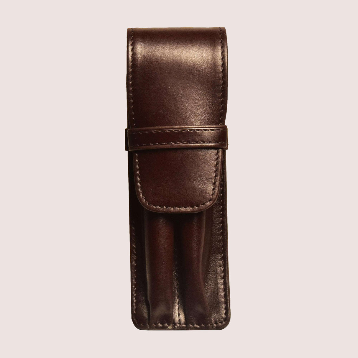 Aston Leather 2 Pen Case