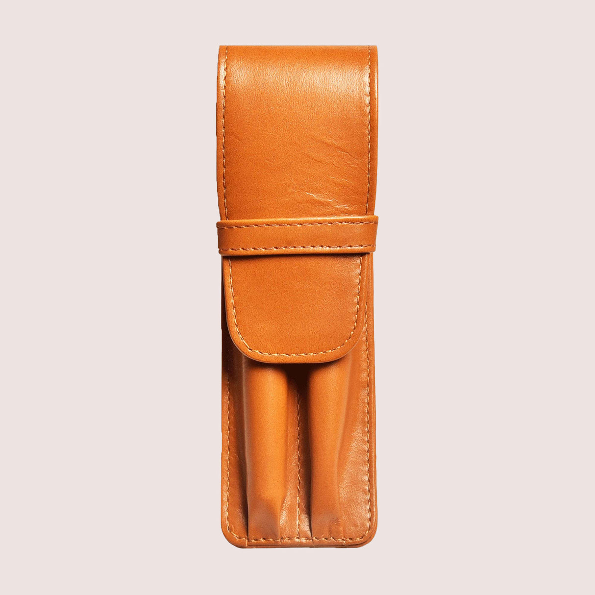 Aston Leather 2 Pen Case