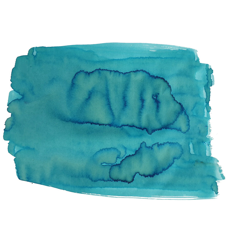 Van Dieman's Birds of a Feather - European Honey Bee Eater Breast