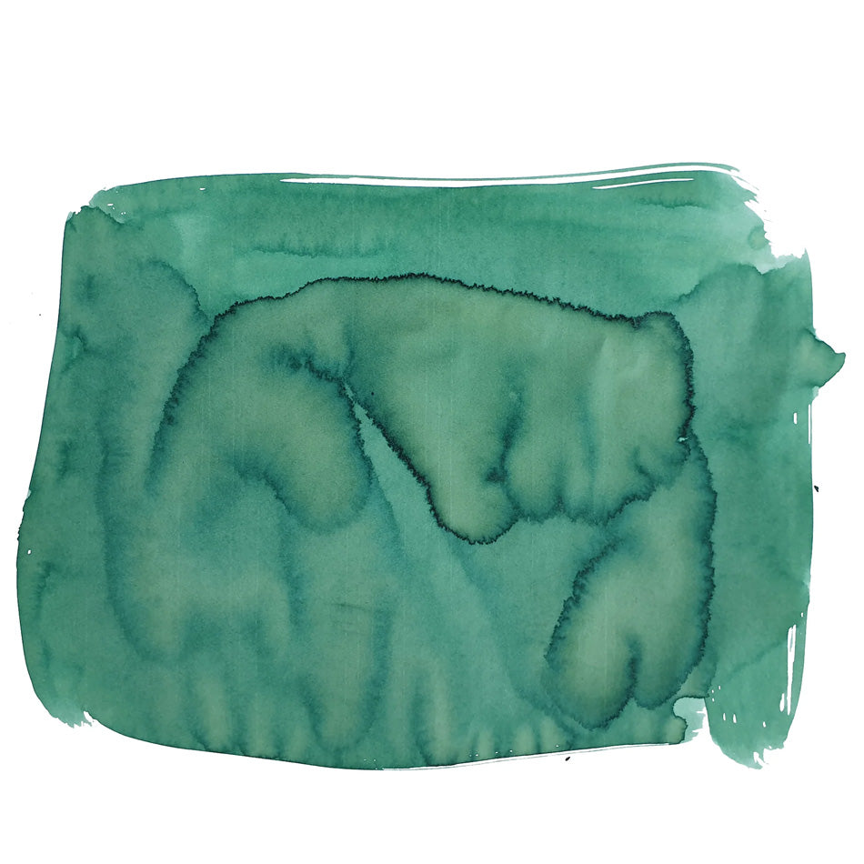 Van Dieman's Birds of a Feather - European Honey Bee Eater Wing