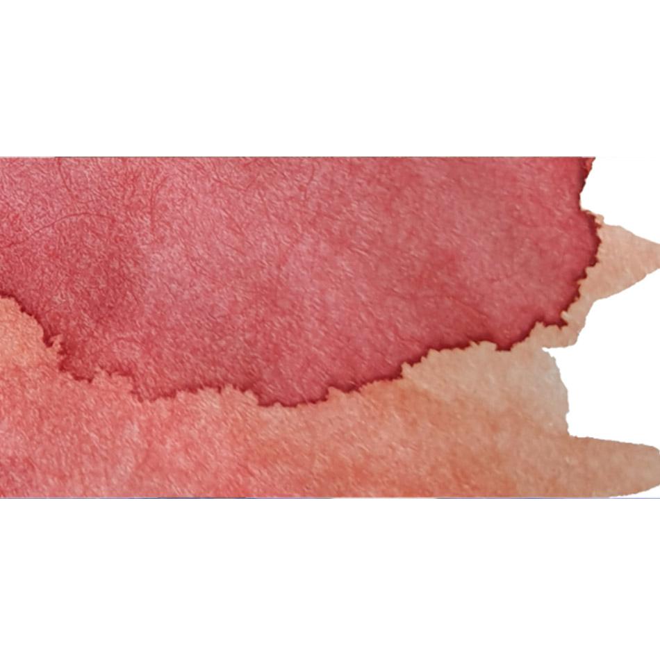 Dominant Industry Fountain Pen Ink - Maple - Pure Pens