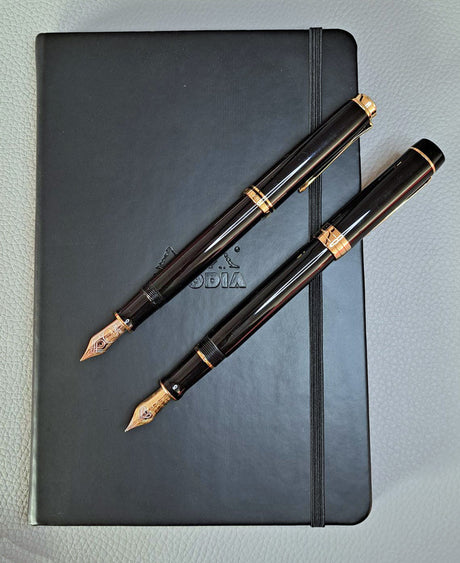 Pelikan Souveran vs Parker Duofold