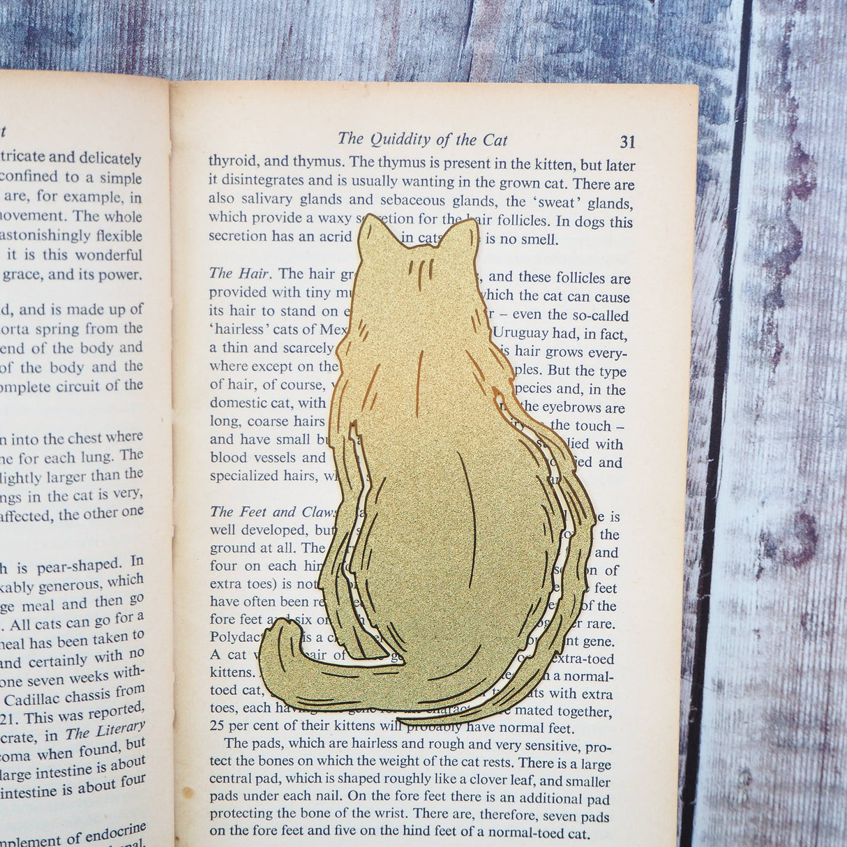 Literary Emporium Cat Lover Brass Bookmark