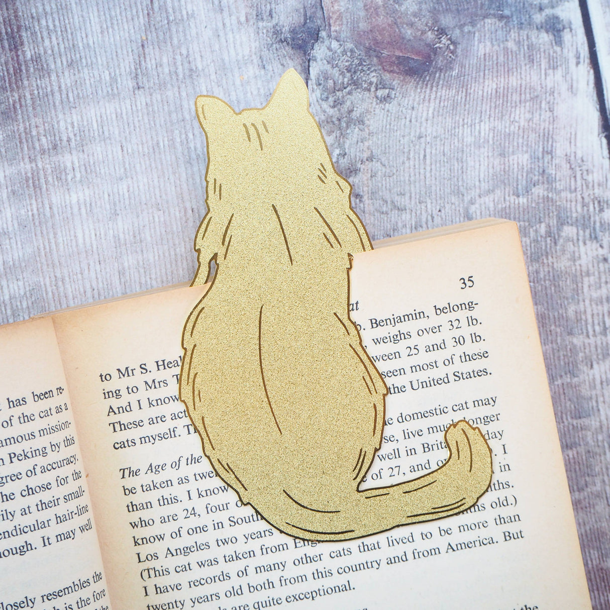 Literary Emporium Cat Lover Brass Bookmark