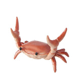 Nahvalur Crab Pen Holder