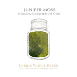 Ferris Wheel Press Calligraphy 28ml Ink - Juniper Moss