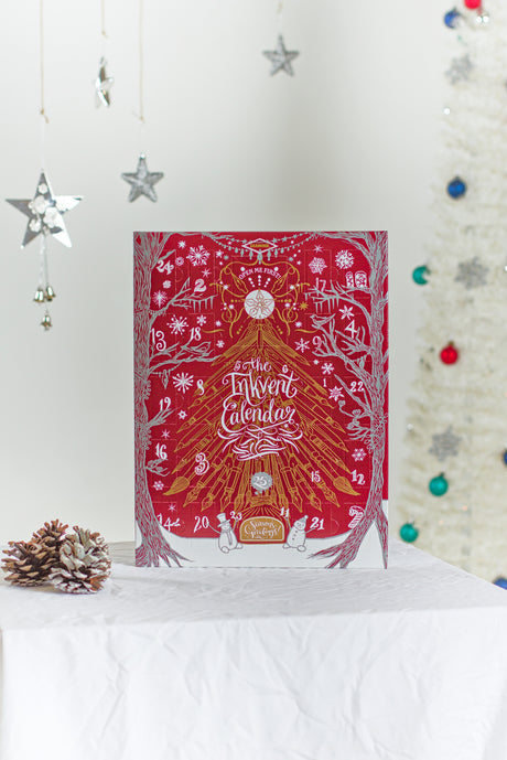Diamine Inkvent Calendar 2026 Burgundy Edition