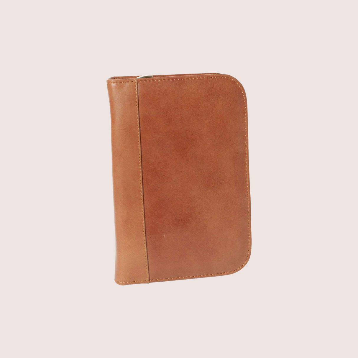 Aston Leather Collector's 10 Pen Case