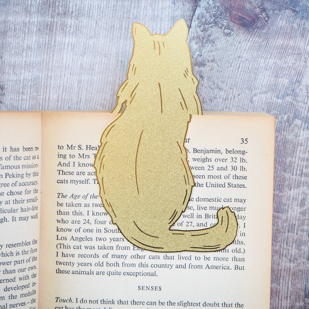 Literary Emporium Cat Lover Brass Bookmark