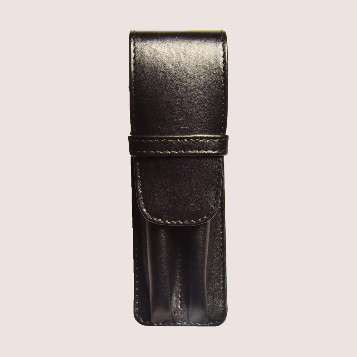 Aston Leather 2 Pen Case