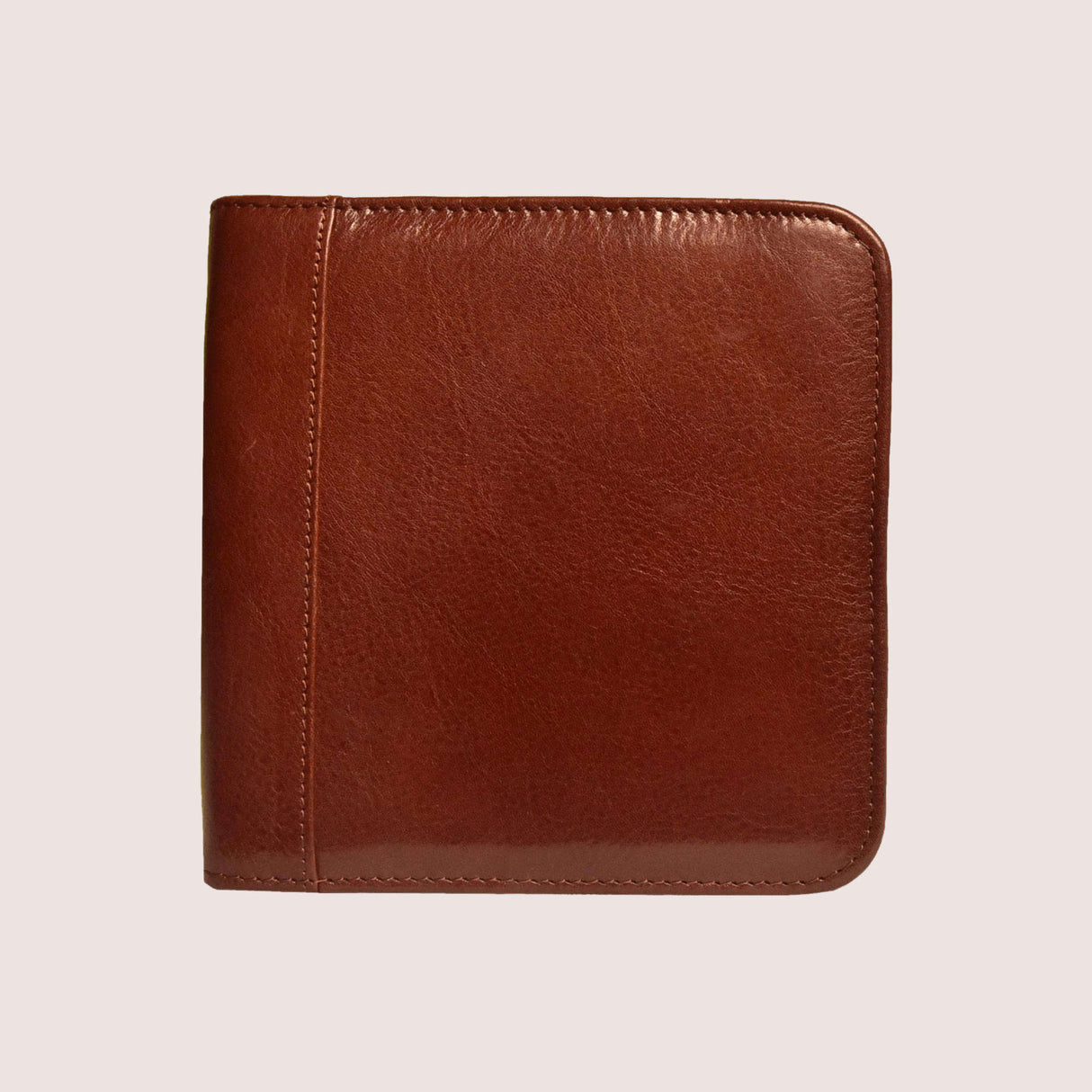 Aston Leather 6 Pen Case