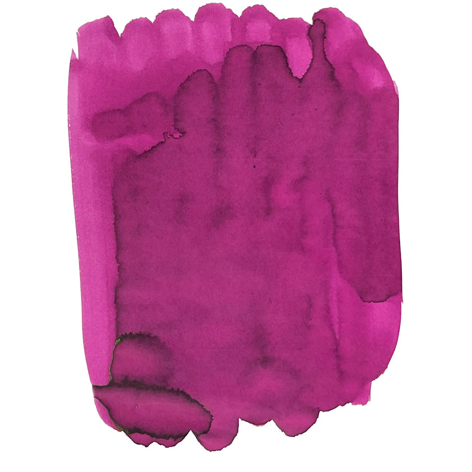 Van Dieman's Birds of a Feather - Anna's Hummingbird Face