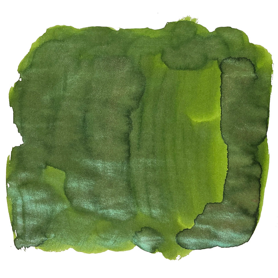 Van Dieman's Birds of a Feather - Anna's Hummingbird Wing