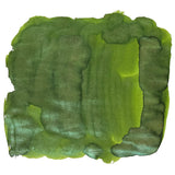 Van Dieman's Birds of a Feather - Anna's Hummingbird Wing