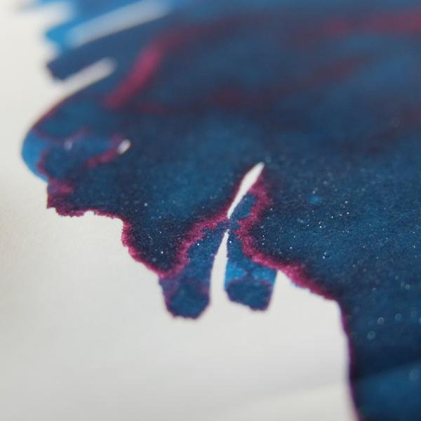 Diamine x Niche Pens Alexandrite Fountain Pen Ink - Pure Pens