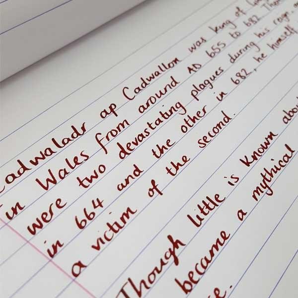 Pure Pens Ink - Cadwaladr - Pure Pens