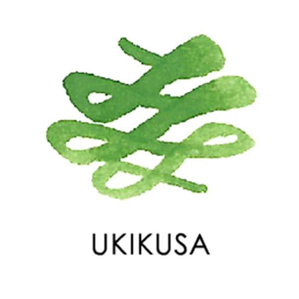 Sailor Manyo Bottled Ink - Ukikusa - Pure Pens