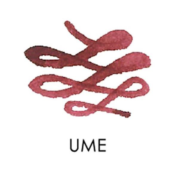 Sailor Manyo Bottled Ink - Ume - Pure Pens